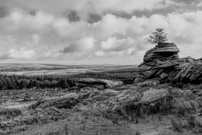 Dartmoor National Park